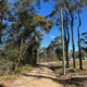 83 Bournda Park Way, Wallagoot, NSW 2550