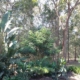 Lot 252 Tathra Bermagui Road, Tathra, NSW 2550