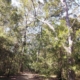 Lot 252 Tathra Bermagui Road, Tathra, NSW 2550