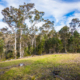 12 Sanctuary Place, Tathra, NSW 2550